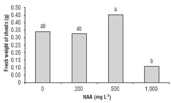 Fresh weight of shoots in Cavendishia bracteata cuttings treated with different concentrations of NAA. Treatments with the same letter are not significantly different according to the Tukey test (P<0.05).