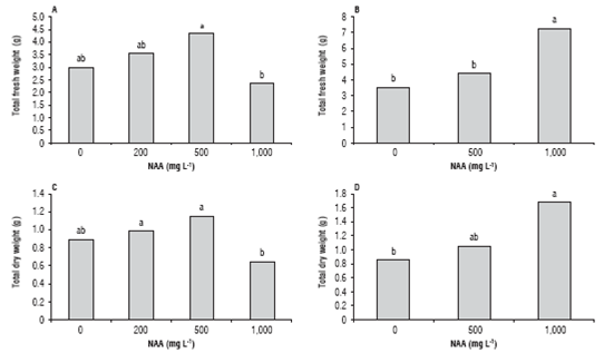 Total fresh weight of cuttings of C. bracteata (A) and T. floribunda (B) at 120 d. Total dry weight of cuttings of C. bracteata (C) and T. floribunda (D) at 120 d. Treatments with the same letter are not significantly different according to the Tukey's test (P&le;0.05).
