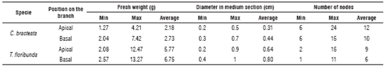 Initial characteristics of cuttings of C. bracteata and T. floribunda.