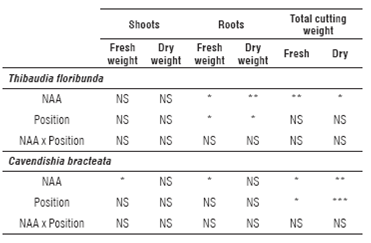 Effect of NAA application and cutting position on the weight of shoots, roots and total weight of cuttings of T. floribunda and C. bracteata at 120 d.