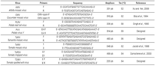 Specific primers for virus detection in tree tomato samples using RT-PCR.