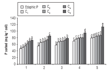 Desorbed phosphorus in different concentrations and treatments. 1: 0% biochar; 2: 5% biochar; 3: 10% biochar; 4: 20% biochar, and 5: 35% biochar.