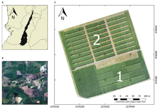 Geographic location of the study area. A. Location of the sugar industry in southwestern Colombia; B. location of the experimental lot at CIAT. C. Experimental lot divided in the two experiments assessed in the study.