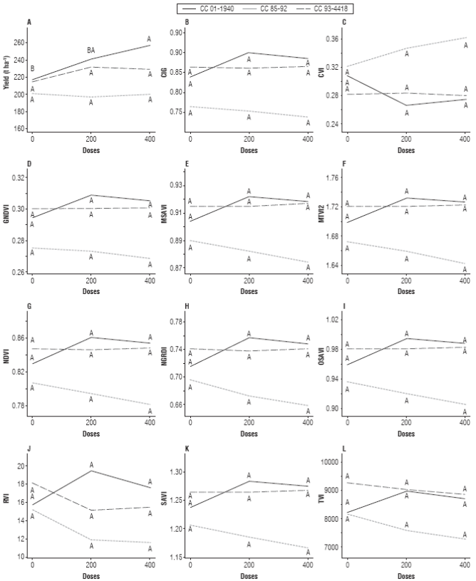 Bonferroni grouping of productivity and vegetation &Iacute;ndices between doses for each variety (figures should be read horizontally for each of the varieties).