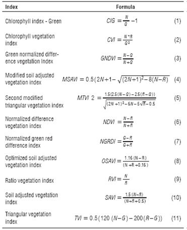 Indices of vegetation assessed, where N corresponds to the digital levels to near-infrared, G to green digital levels and R to digital levels of red.
