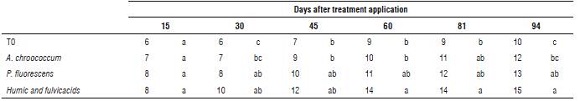 Stem number of R. officinalis L. after application of biofertilizers.