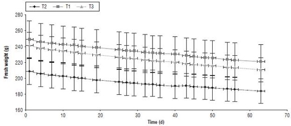 Weight variation in Triunfo de Viena variety pear fruits during postharvest in (T1) 100, (T2) 25 and (T3) 0% crop evapotranspiration (ETc), respectively. The asterisk indicates significant difference between the treatments according to the Duncan test (P≤0.05).