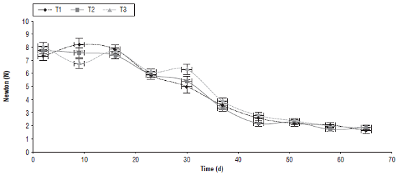 Variations of firmness in Triunfo de Viena variety pear fruits during postharvest in (T1) 100, (T2) 25 and (T3) 0% crop evapotranspiration (ETc), respectively. The asterisk indicates significant difference between the treatments according to the Duncan test (P≤0.05).