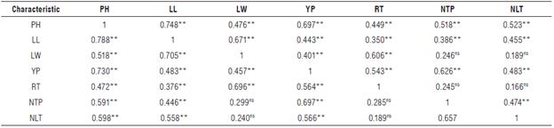 Phenotypic (above the diagonal) and genotypic correlations (below the diagonal) between the agronomic traits evaluated in 61 accessions of ginger (Z. officinale).