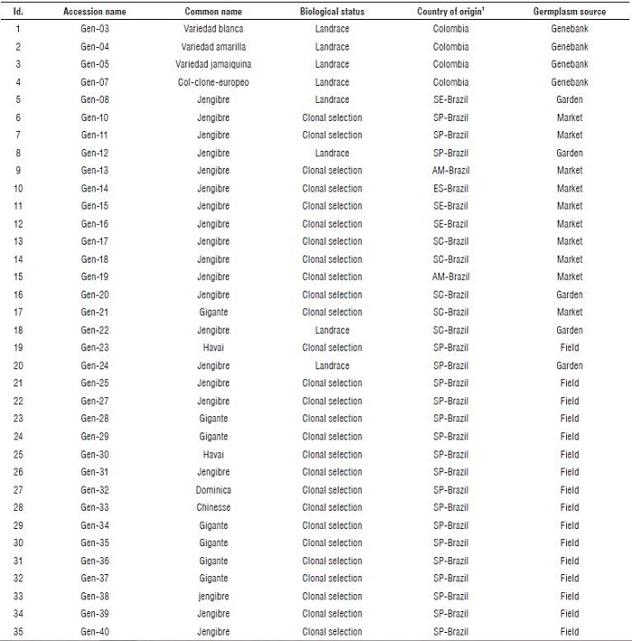 Description of 61 Brazilian accessions of ginger (Zingiber officinale) kept in the germplasm collection of Department of Genetics, ESALQ/USP