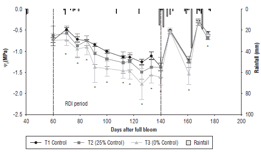 Variation of the midday stem water potential (Ψψ) in T1, T2 and T3 obtained as the mean of 4 replicates per treatment and rainfall during the crop cycle. Bars indicate standard error and asterisks indicate significant difference between treatments.
