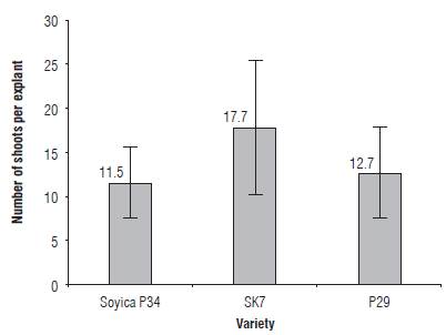 Regeneration capacity of vegetal varieties as number of shoots per explant.