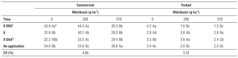 Commercial and forked carrot root yield (t ha1) in different application times of FertiG* associated and not associated with Metribuzin - Crop 1. Rio Paranaiba - MG.