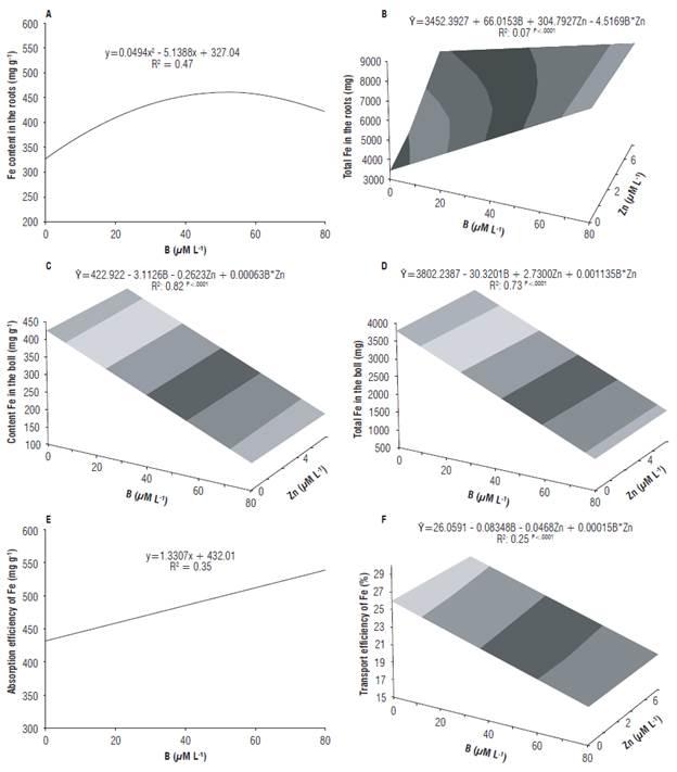 Content of Fe in the roots (A), total Fe in the roots (B), content of Fe in the boll (C), total Fe in the boll (D) and efficiency of absorption (E) and transport (F) of Fe of cotton in response to different B and Zn concentrations in the nutrient solution.