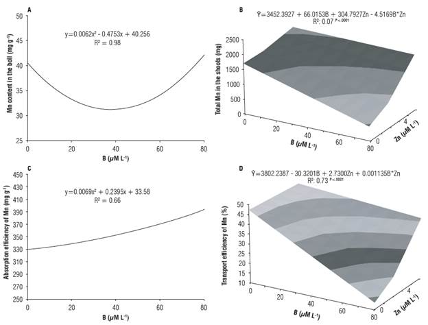 Content different B and Zn of Mn in the boll (A), total Mn in the shoots (B) and efficiency of absorption (C) and transport (D) of Mn of cotton in response to concentrations in the nutrient solution.