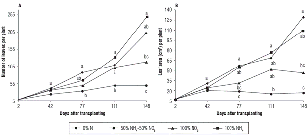 A) Number of leaves and B) Leaf area of the Andean blueberry treated with different sources of N. Means followed by the different letters at each sampling date are significantly different according to the Tukey test (P&le;0.05).