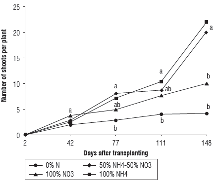 Number of shoots per plant of the Andean blueberry treated with different sources of N. Data means followed by the different letters at each sampling date are significantly different according to Tukey test (P<0.05).