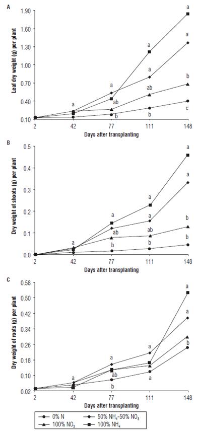 Dry weight of leaves (A), shoots (B) and roots (C) of the Andean blueberry treated with different sources of N. Data means followed by the different letters at each sampling date are significantly different according to the Tukey test (P<0.05).
