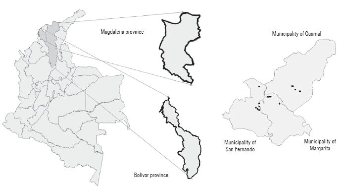 Sampled municipalities and geographic location of the genotypes characterized.