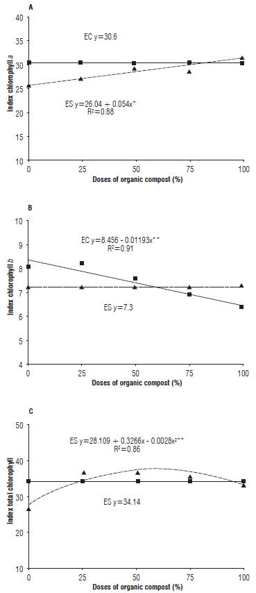 Chlorophyll a index (A), chlorophyll b index (B) and total chlorophyll index (C) in the umbuzeiro seedlings in the organic substrate with EC (-) and without ES (---) foliar applications of the organic foliar fertilizer. * significant at 1% and ** significant at 5% probability.