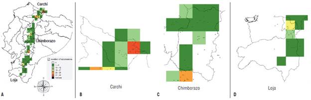 Distribution of cultivated native potatoes in the Andean region of Ecuador using DIVA GIS 7.5 (passport data from collections during the 1970s and 1980s). A) Potato landraces distribution in Ecuador. The research areas selected for this study included: B) Province of Carchi (north of the country), C) Province of Chimborazo (central part of the country) and D) Province of Loja (south of the country).