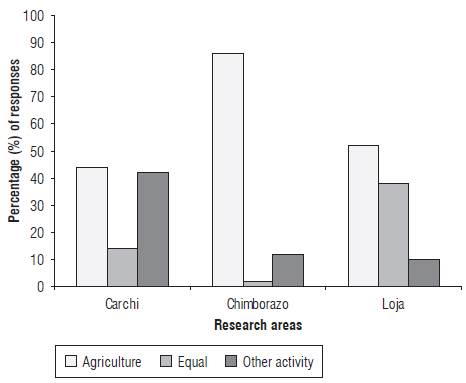 Percentage of farmer responses regarding what work (agriculture or other) they considered more important for income generation.