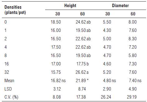 Height (cm) and diameter (mm) at 30 and 60 DAP in the PSS of sugarcane cultivar RB985476 in competition with C. rotundus.