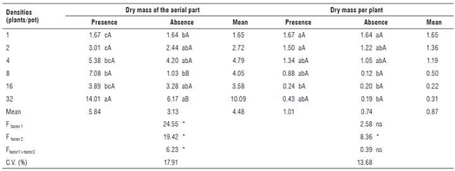C. rotundus dry mass of the aerial part (g) and dry mass per plant (g) at 60 DAP in the presence and absence of PSS of sugarcane cultivar RB985476.