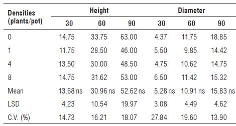 Height (cm) and diameter (mm) at 30, 60 and 90 DAP of PSS of sugarcane cultivar IACSP95-5000 in competition with C. rotundus.
