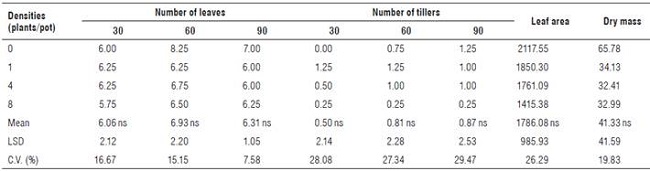 Number of leaves and tillers at 30, 60 and 90 DAP leaf area (cm2) and dry mass of the aerial part (g) at 90 DAP of PSS of sugarcane cultivar IACSP95-5000 in competition with C. rotundus. Piracicaba, São Paulo, Brazil (2018).