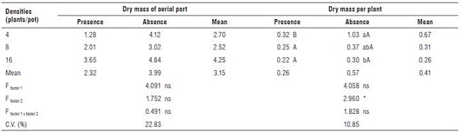Dry mass of aerial part (g) and dry mass per plant (g) of C. rotundus at 90 DAP in the presence and absence of PSS of sugarcane cultivar IACSP95-5000.