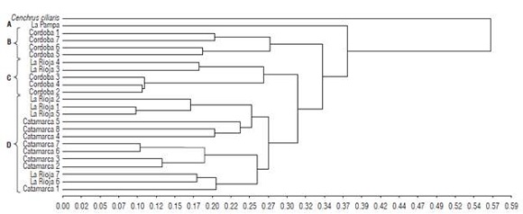 Dendrogram showing the genetic relationships among 23 Trichloris crinita individuals based on the transferred SSR markers. The clustering analysis was performed using the UPGMA and Jaccard coefficient. Letters indicate groups discriminated at 50% of the maximum estimated genetic distance. We used C. ciliaris as an outgroup.