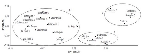 Principal coordinates analysis plot. Variability among 23 Trichloris crinita individuals based on the transferred SSR markers. Circles delimit the individuals grouped into clusters B, C, and D according to the clustering analysis showed in Figure 2.