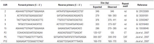 Characteristics of the SSR markers transferred from Setaria italica to Setaria sphacelata. bp: base pairs; nd: not determined.