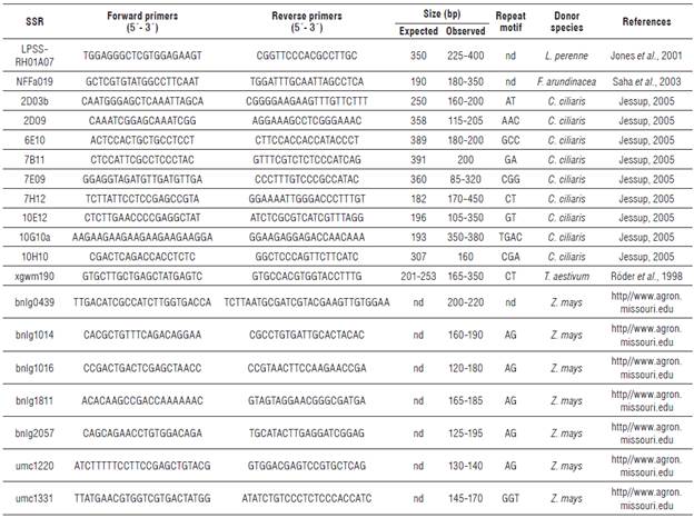 Summary of the SSR markers transferred to Trichloris crinita from five Poaceae species.