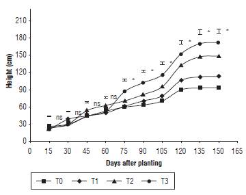Height of quinoa plants under different fertilization protocols in Oicata - Boyaca. T0: control, T1: organic fertilizer, T2: organic fertilizer + urea + Paz del Rio fertilizer, and T3: urea + Paz del Rio fertilizer according to the Tukey test (P&le;0.05). ns: not significant, *: significant for the day of sampling.