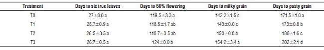Phenological performance of quinoa according to the treatments.