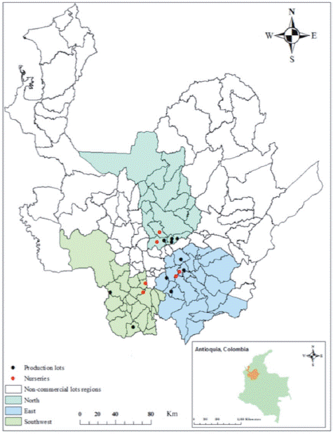 Regions where avocado plots were tested exhibited an annual mean temperature of 14-20°C, 1800-2600 mm of annual precipitation, 75-95% relative humidity and 1850-2400 m a.s.l. These regions correspond to tropical life zones of lower montane humid forest (lm-HF) and lower montane very humid forest (lm-VMB) (Holdridge, 1967). All trees sampled were avocado cv. Hass grafted on West Indian rootstock, at planting distances of 7 x 7, 6 x 5, and 6 x 6 m.