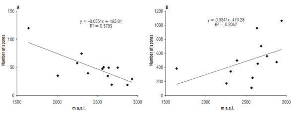 Relationship between altitude and number of AMF spores grown with cape gooseberry in the provinces of Cundinamarca and Boyaca. a) Rainy season and b) dry season.