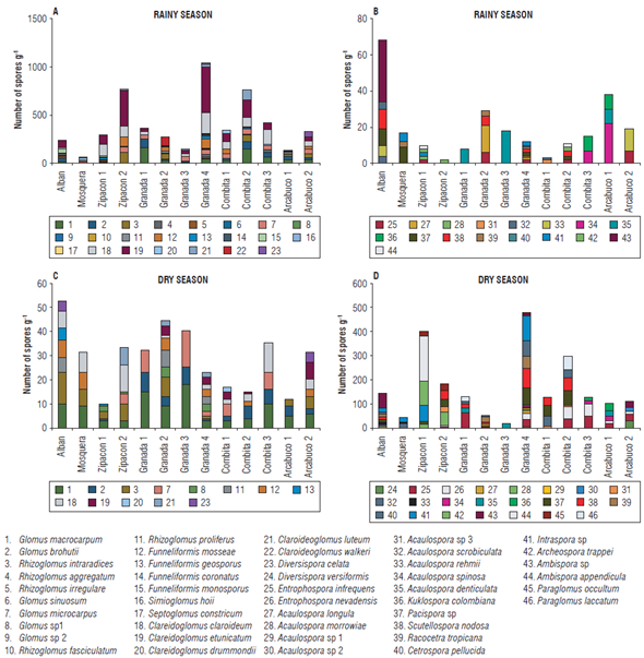 Abundance of spores for each of the species identified in the rainy (a and b) and dry (c and d) seasons.