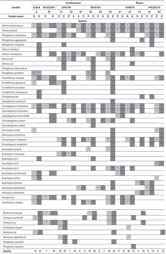 Distribution of AMF genus and species in soil samples cultivated with cape gooseberry in an altitudinal transect between 1636 and 2869 m a.s.l. (R: Rainy, D: Dry).