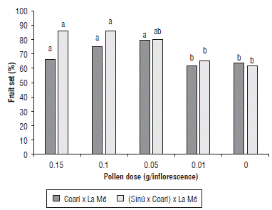 Effect of pollen dose on the fruit set of the two oil palm OxG hybrids. Bars with different letters in each hybrid are statistically different according to the Duncan test (P<0.05).