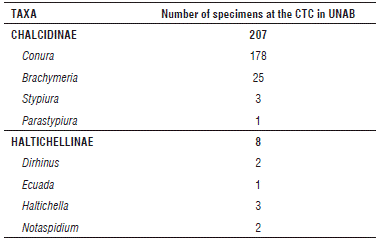 Chalcididae taxa represented in the CTC of the entomological museum of UNAB and number of specimens found per taxon.