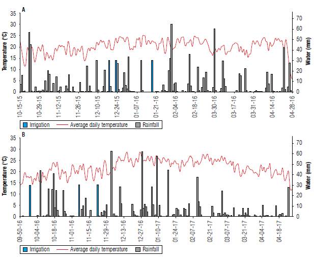 Average daily temperature, daily rainfall and irrigation of maize cycles from seedling to harvest during A) 2015/2016 (Lages-SC) and B) 2016/2017 (Atalanta-SC) growing seasons.