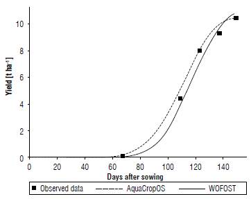 Tuber biomass (yield) simulated by AquaCropOS and WOFOST models, and observed tuber biomass.