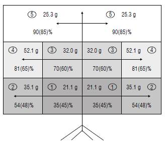 Distribution of the quadrants in the crown of the feijoa tree: 1) internal base, 2) external base, 3) internal medium, 4) external medium, and 5) superior, including the fresh weight of the fruits (g) and the percentages of the incident radiation on a sunny day (on average 1920 jumol nr2 s1) and (in parentheses) on a cloudy day (on average 348 jumol nr2 s1). Modified from Martinez-Vega et al. (2008) with permission of the Revista Colombiana de Ciencias Hort&iacute;colas.