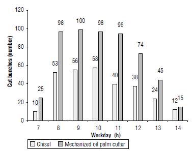 Number of FFB cut off along the workday, according to the tool used by the cutter.