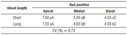 Number of blueberry cv. Bluegem fruits as a function of the bud length in the bud position.