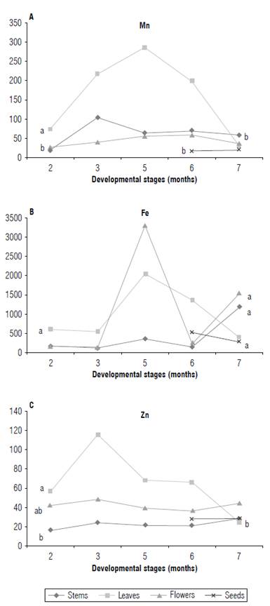 A) Manganese (Mn), B) iron (Fe), and C) zinc (Zn) contents (mg kg1) in leaves, stems, flowers, and seeds of the calendula plant at different developmental stages (months). Means with the same letter do not differ significantly according to the Duncan test (P<0.05).