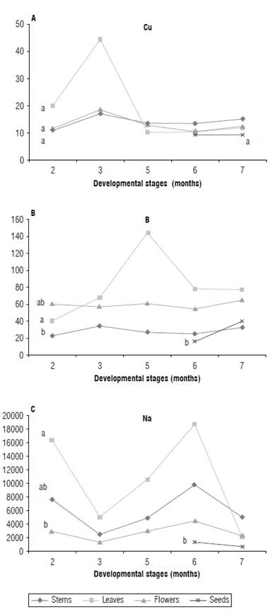 A) Copper (Cu), B) boron (B), and C) sodium (Na) contents (mg kg1) in leaves, stems, flowers and seeds of the calendula plant at different development stages (months). Means with the same letter do not differ significantly according to the Duncan test (P<0.05).